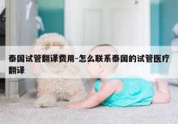 泰国试管翻译费用-怎么联系泰国的试管医疗翻译