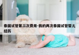 泰国试管第二次费用-我的两次泰国试管婴儿经历