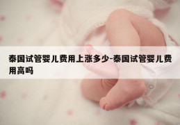 泰国试管婴儿费用上涨多少-泰国试管婴儿费用高吗