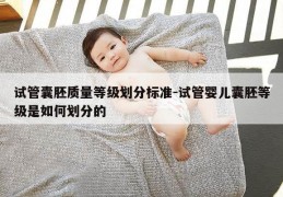 试管囊胚质量等级划分标准-试管婴儿囊胚等级是如何划分的