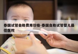 泰国试管自助费用价格-泰国自助试管婴儿最佳医院