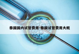 泰国国内试管费用-泰国试管费用大概