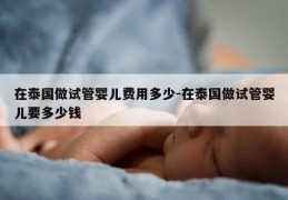 在泰国做试管婴儿费用多少-在泰国做试管婴儿要多少钱