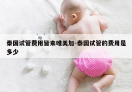 泰国试管费用皆来唯美加-泰国试管的费用是多少