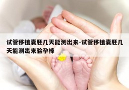 试管移植囊胚几天能测出来-试管移植囊胚几天能测出来验孕棒
