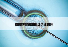 泰国试管费用来这孕途国际-泰国试管报价