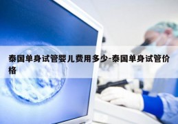 泰国单身试管婴儿费用多少-泰国单身试管价格