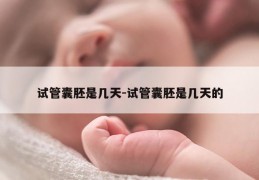 试管囊胚是几天-试管囊胚是几天的