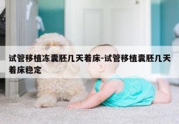 试管移植冻囊胚几天着床-试管移植囊胚几天着床稳定