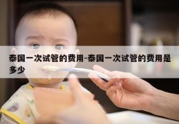 泰国一次试管的费用-泰国一次试管的费用是多少