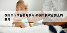 泰国三代试管婴儿费用-泰国三代试管婴儿的费用
