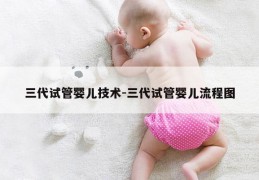 三代试管婴儿技术-三代试管婴儿流程图