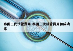 泰国三代试管费用-泰国三代试管费用和成功率