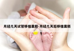 月经几天试管移植囊胚-月经几天后移植囊胚