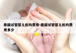 泰国试管婴儿机构费用-泰国试管婴儿机构费用多少