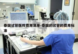泰国试管医院费用清单-泰国的试管的费用标准