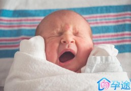 多囊女性想怀孕该如何选择?试管婴儿圆您育儿梦!