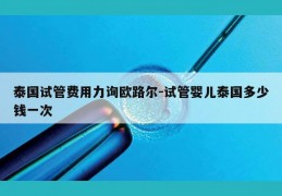 泰国试管费用力询欧路尔-试管婴儿泰国多少钱一次