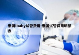 泰国ibaby试管费用-泰国试管费用明细表