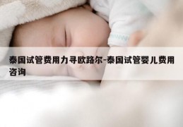 泰国试管费用力寻欧路尔-泰国试管婴儿费用咨询