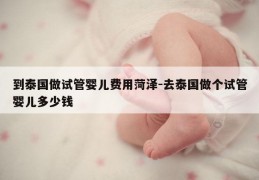 到泰国做试管婴儿费用菏泽-去泰国做个试管婴儿多少钱