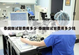 泰国做试管费用多少-泰国做试管费用多少钱