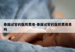 泰国试管的医院费用-泰国试管的医院费用贵吗