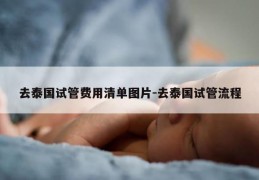 去泰国试管费用清单图片-去泰国试管流程