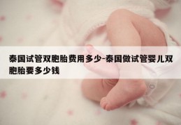 泰国试管双胞胎费用多少-泰国做试管婴儿双胞胎要多少钱