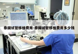 泰国试管移植费用-泰国试管移植费用多少钱
