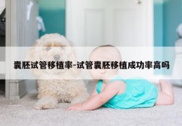 囊胚试管移植率-试管囊胚移植成功率高吗