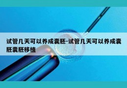 试管几天可以养成囊胚-试管几天可以养成囊胚囊胚移植