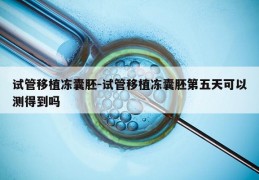 试管移植冻囊胚-试管移植冻囊胚第五天可以测得到吗