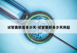 试管囊胚是多少天-试管囊胚多少天阴超