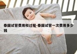 泰国试管费用和过程-泰国试管一次费用多少钱
