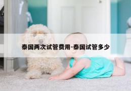 泰国两次试管费用-泰国试管多少
