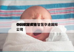 泰国试管费用智慧孕途国际OK-泰国试管公司