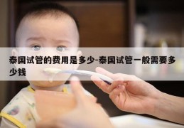 泰国试管的费用是多少-泰国试管一般需要多少钱