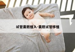试管囊胚植入-囊胚试管移植