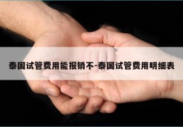 泰国试管费用能报销不-泰国试管费用明细表
