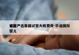 睿医严选泰国试管大概费用-孕途国际试管婴儿