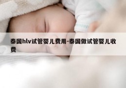 泰国hlv试管婴儿费用-泰国做试管婴儿收费
