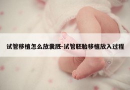 试管移植怎么放囊胚-试管胚胎移植放入过程