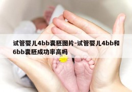 试管婴儿4bb囊胚图片-试管婴儿4bb和6bb囊胚成功率高吗