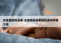 试管囊胚和冻胚-试管胚胎和囊胚的成功率哪个高