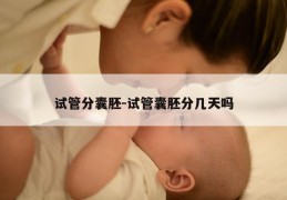 试管分囊胚-试管囊胚分几天吗