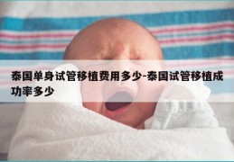 泰国单身试管移植费用多少-泰国试管移植成功率多少
