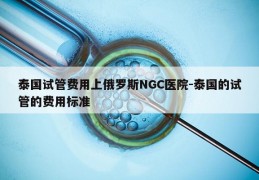 泰国试管费用上俄罗斯NGC医院-泰国的试管的费用标准