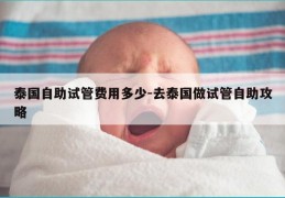 泰国自助试管费用多少-去泰国做试管自助攻略