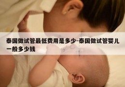 泰国做试管最低费用是多少-泰国做试管婴儿一般多少钱